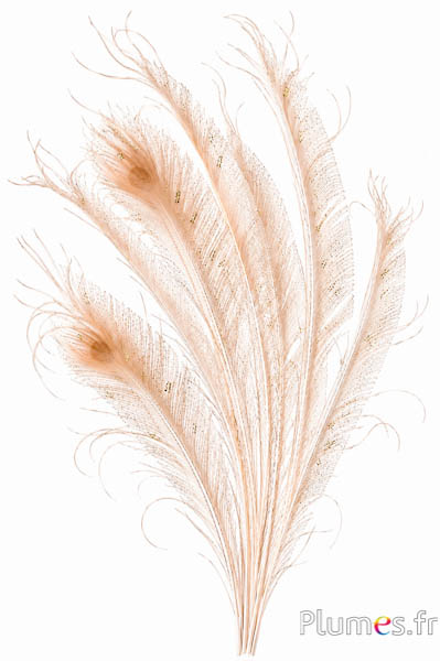 Pfau blau Schwert Goldglitzer - gebleicht - 35 cm - creme